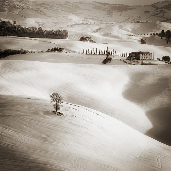 The Long Way Home by Jaroslaw Pawlak