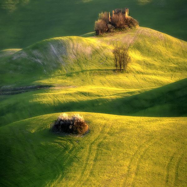 Floating Out On The Green Wave by Jaroslaw Pawlak