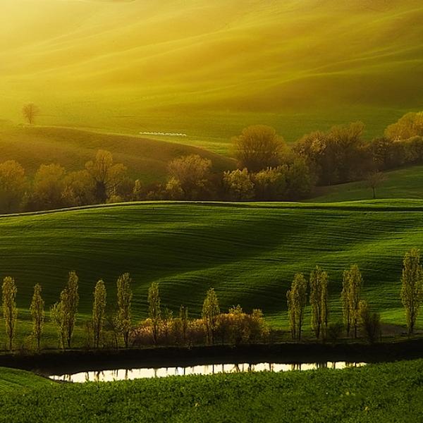 Warmth Around Us par Jaroslaw Pawlak
