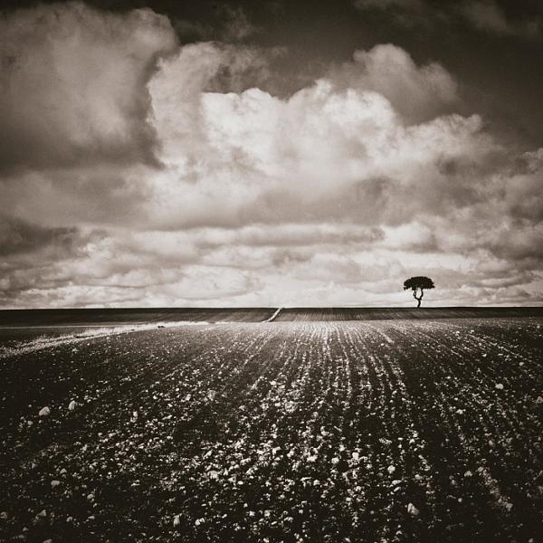 N&ordm; 0176 by Eduardo Almeida