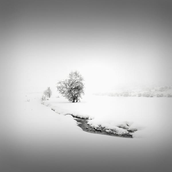 &Kappa;ά&theta;&alpha;&rho;&sigma;&iota;&sigmaf; | Catharsis III &ndash; The Path by Julia Anna Gospodarou