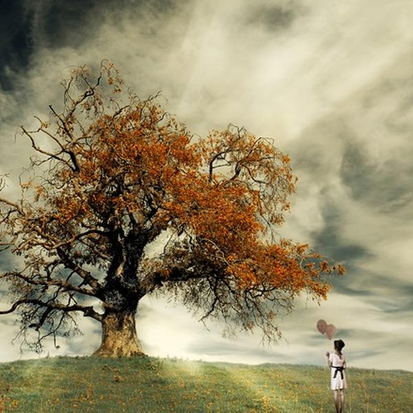 Tree Of Hope by Joe Kennedy