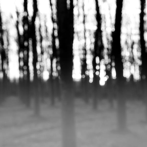 Lost