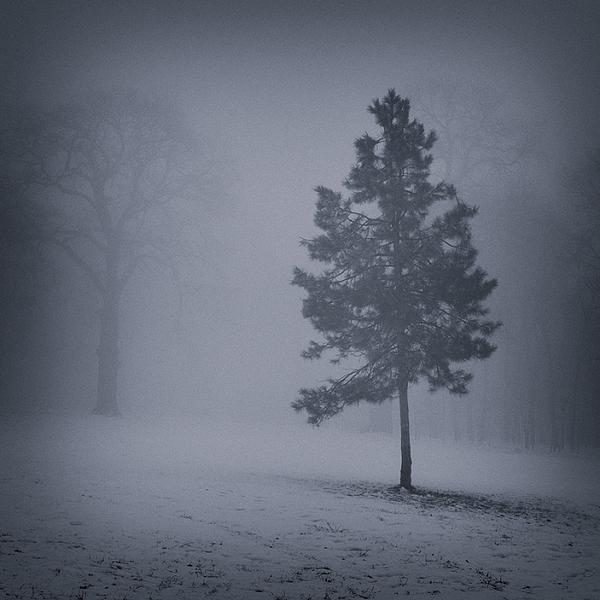 Departed by Catalin Negrila