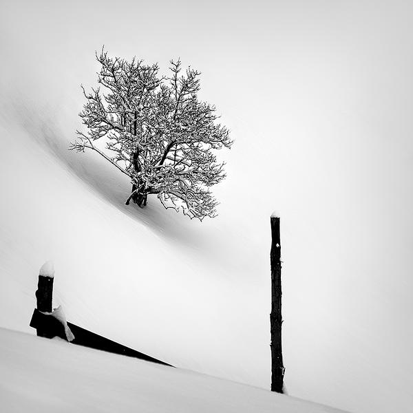 Winter Story Ii by Catalin Negrila