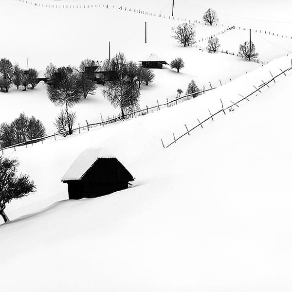 Excluded by Catalin Negrila