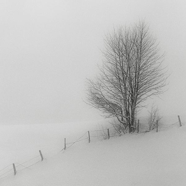 Saalfelden, 1979 by Thomas Vanderbruck
