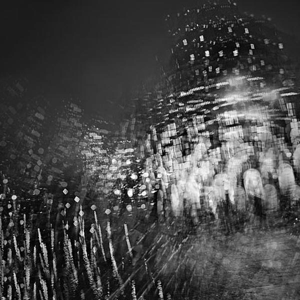 Curiocity 3 by Stephanie Jung