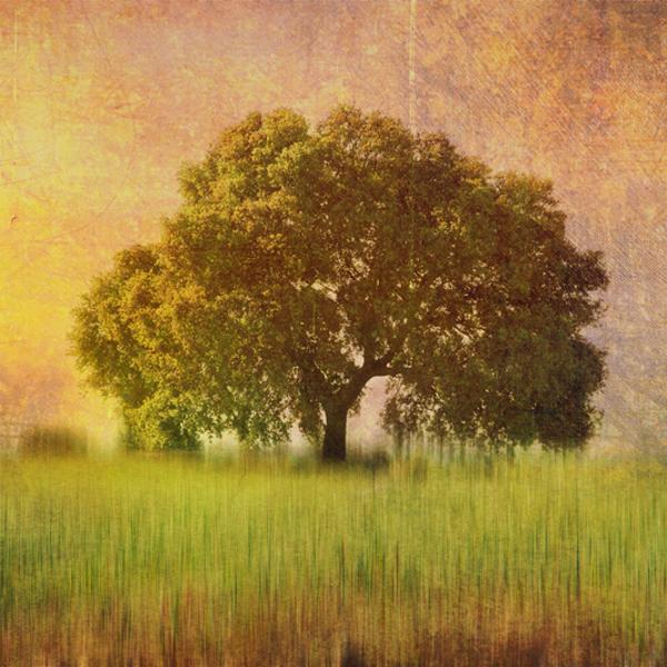 Feel The Sunshine by Ballesteros Beatriz