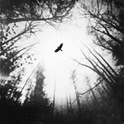 Angels Of Distress by Zewar Fadhil
