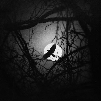 I Lost Myself by Zewar Fadhil