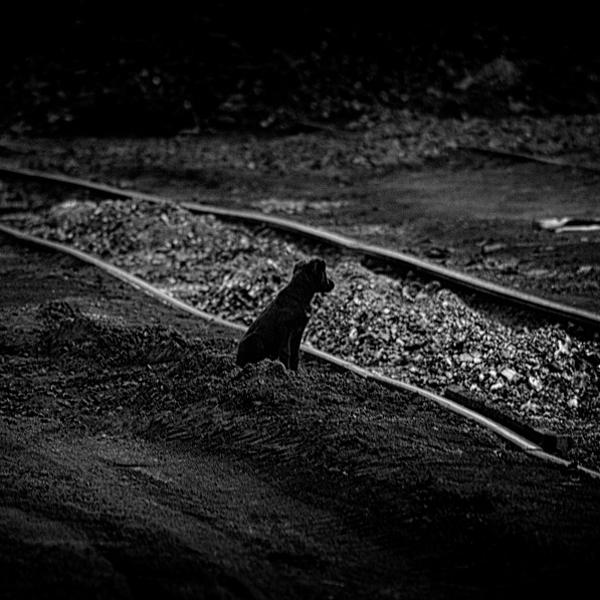 Untitled by Gitta Ebbesen