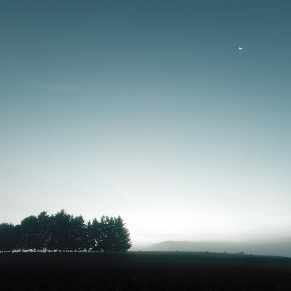 Moon Over The Trees by G&eacute;rard Staron