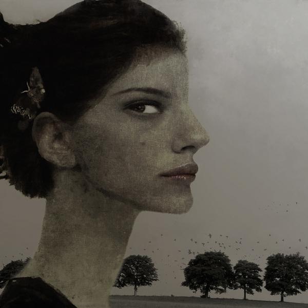 Birds by Alexander Sokht