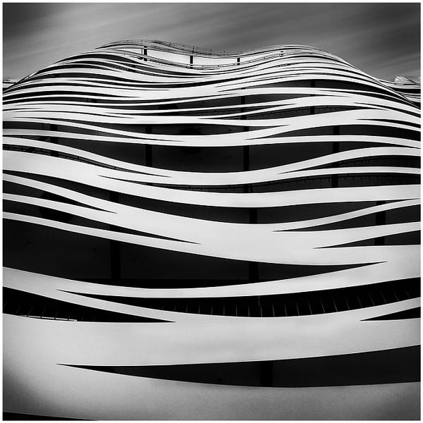 Zebrato III by Andrea Panta