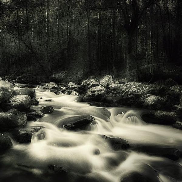Stream by Rixin Wang