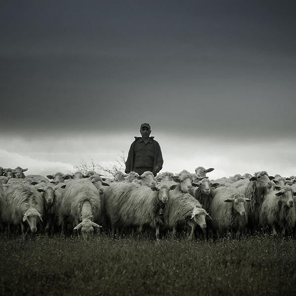 The Shepherd by Irca Caplikas