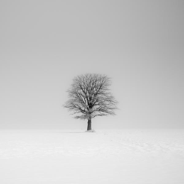 Last One Standing by Derek Toye