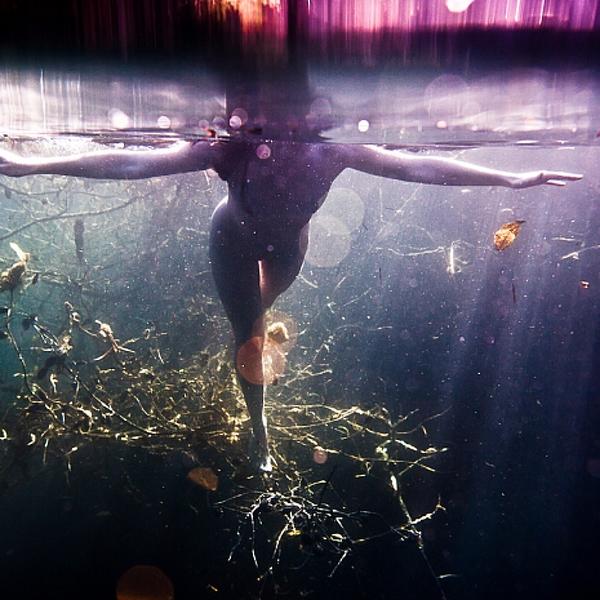 Dismantling Connections by Neil Craver