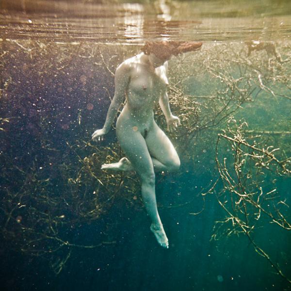 Brilliantly Despairing by Neil Craver