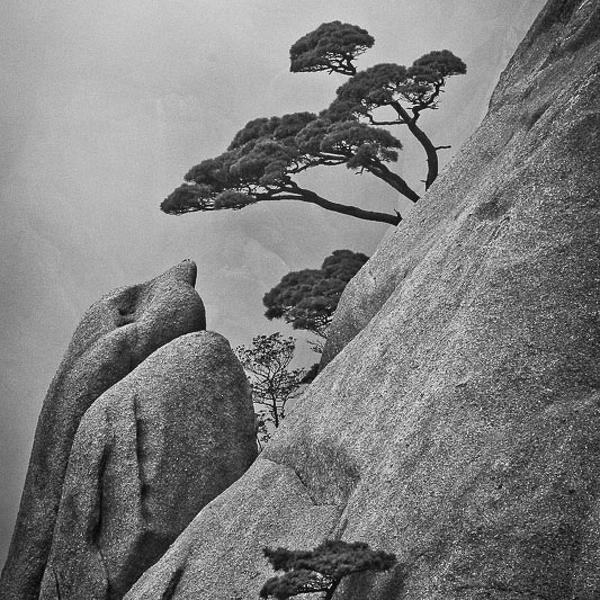 Mist Of Huang Shan by Joseph Aieta
