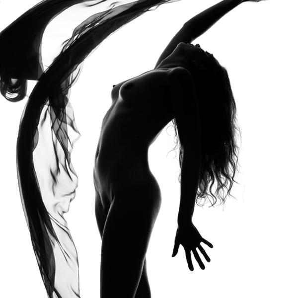 Danse Du Voile by Michel Blot