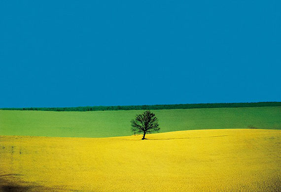 Franco Fontana, Photography, Photography - Russian National Centre of Photography, Saint-Petersburg, Russia