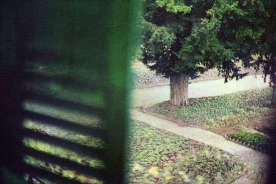 Bernard Plossu, Monet intime. Photographies de Bernard Plossu, Photographie - Musée de Impressionismes Giverny, Giverny, France