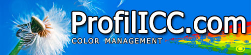 Profil ICC EN