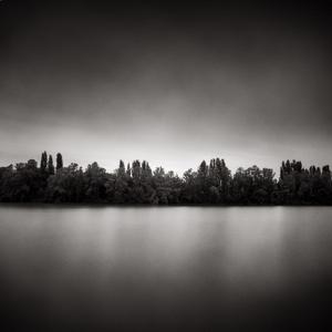 Forest Line by Denis Olivier