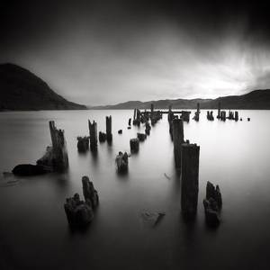 Carcass by Denis Olivier