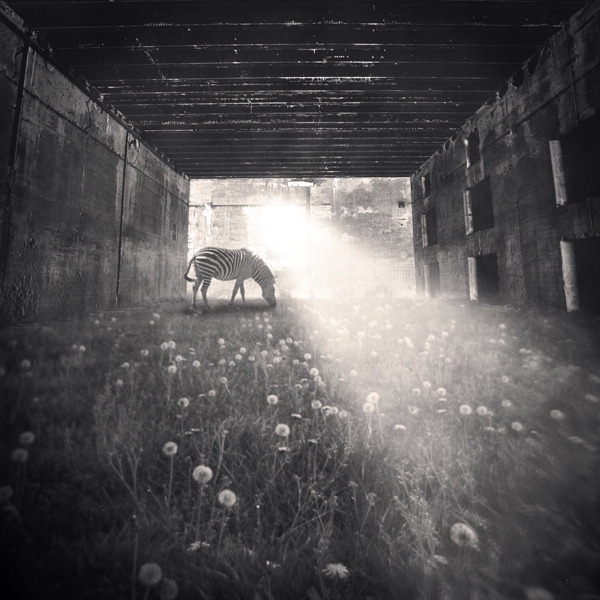 Dreamspace Reloaded #3, processing by Denis Olivier. April 29, 2008 - #1153