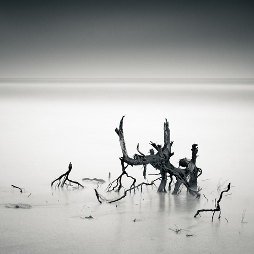 Branche, photography by Emmanuel Correia. Eos 10D SMC Takumar 24 f3.5. In Nature, Scenery, Waterscape. Branche, photography by Emmanuel Correia. Image #2728