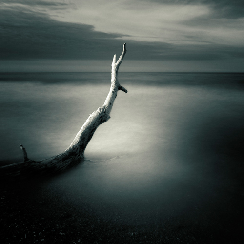 Branche2, photography by Emmanuel Correia. Eos 10D EF 17-40 F4 L. In Nature, Scenery