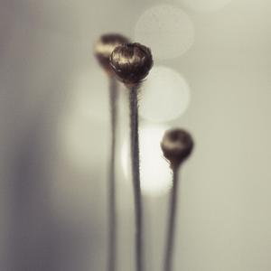 3 by Marianne Le Carrour