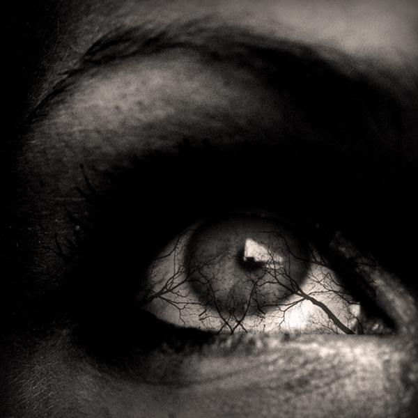 Tree Eye, processing by Marianne Le Carrour. Self.
Bordeaux, France, November 2005.. Canon G2 + Macro lens Raynox. My own mitt