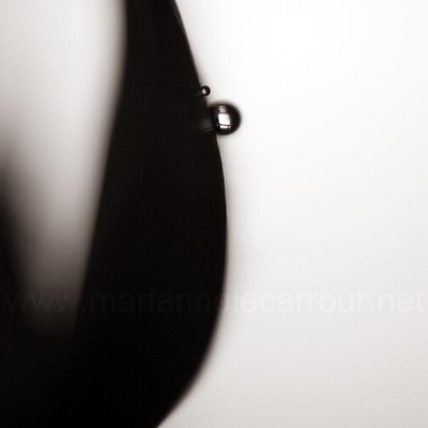 Inside and Out, photography by Marianne Le Carrour. Bordeaux, France, January 2007.. In Nature, Vegetal