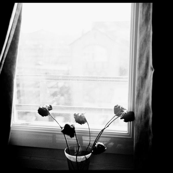 Roses, Artwork by Nicolas Messyasz. 2007, Paris (France)




website: http://www.messyasz.fr
 
 
 
 
