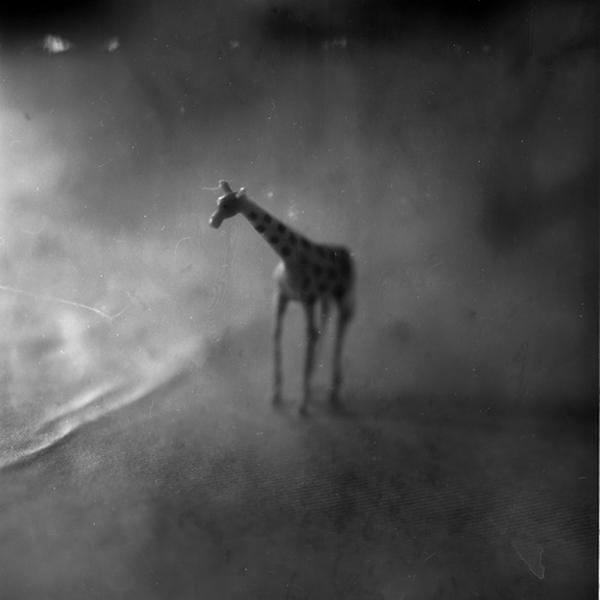 safari de table, photography by Ramez El Sa&iuml;d. polaroid 55. In Object, Toy