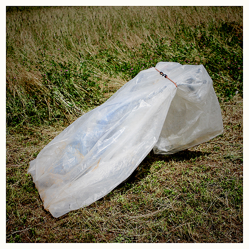 #10, Artwork by Christian Linder. Art en plein air

http://www.artmotiers.ch/cont/motiers_2007.php. Canon 20D