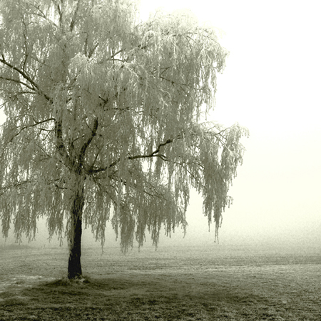 Absence of static, photography by Gerald Cummins. In Nature, Weather