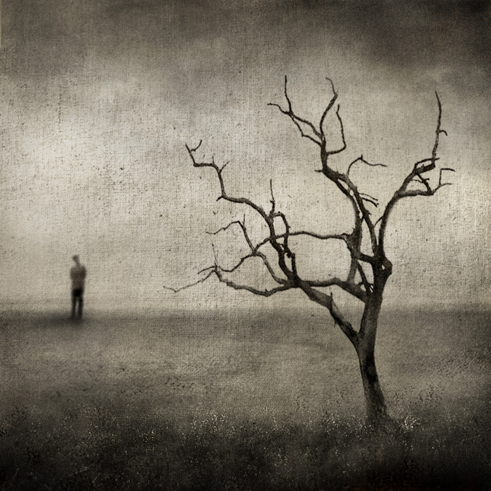 სერგი კაკალაშვილი – გახსოვს, ძვირფასო?