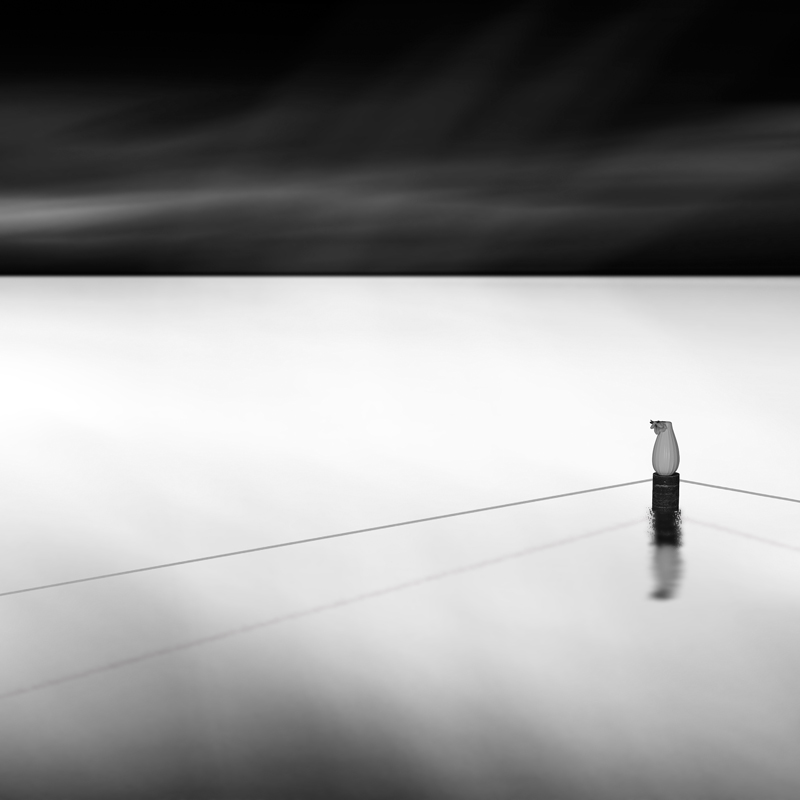 Nothing is real, processing by Jean-michel Reboul. Next one. In Nature, Scenery, Waterscape