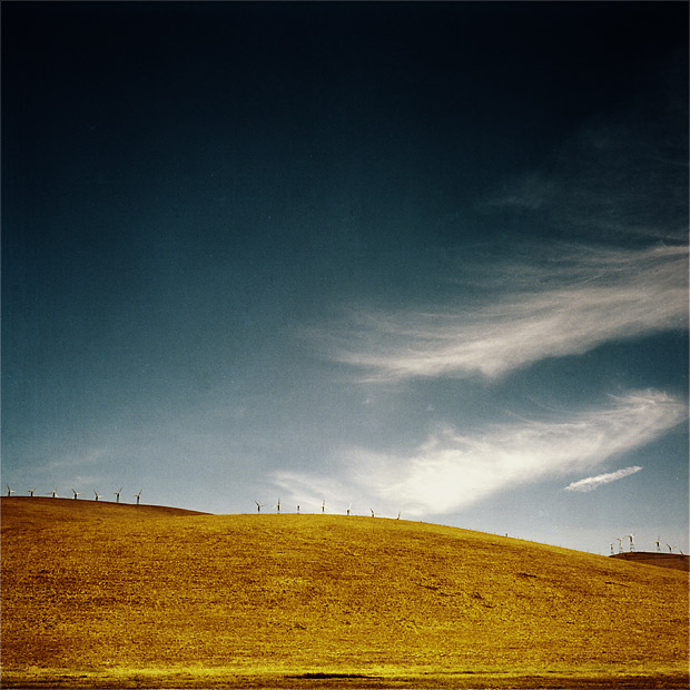 answer in the wind, photography by Christophe Niel. California. Rolleiflex. Portra film. In Nature, Scenery