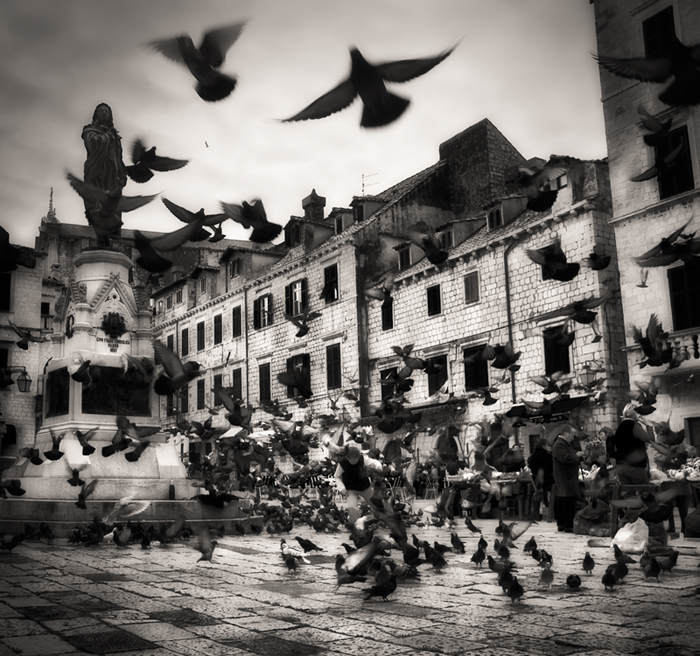 Birds...(2), photography by Denis Grzetic. back to some pics from Dubrovnik.... Olympus E-1   14-54 lens. Ps. In Construction