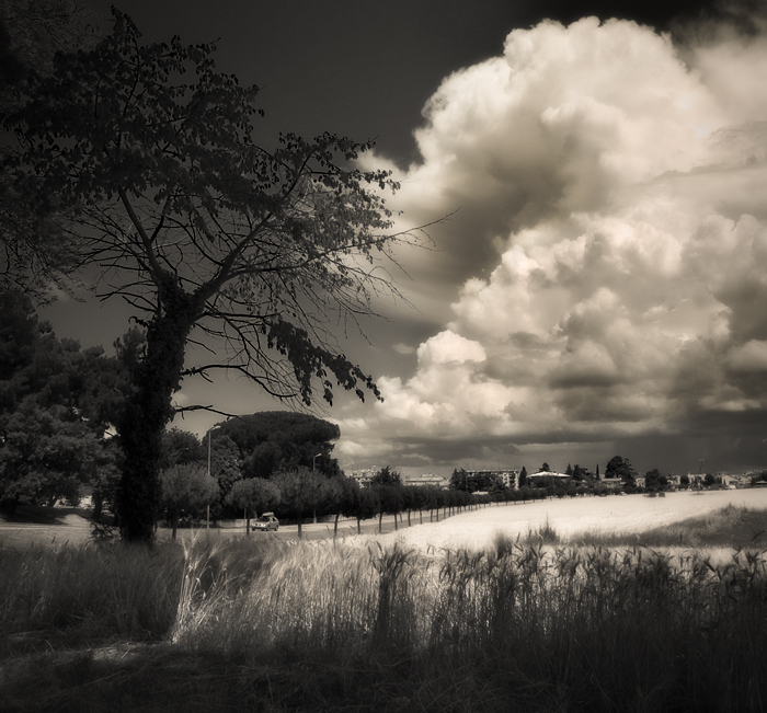 The delicate sound of thunder..., photography by Denis Grzetic. also one older...from 2005.. Olympus E-1, 14-54 (28-108). PS. In Nature, Scenery