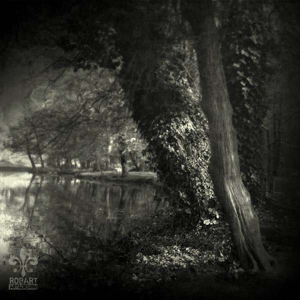 square noir09, photography by Robert Gojevic. In Nature, Scenery