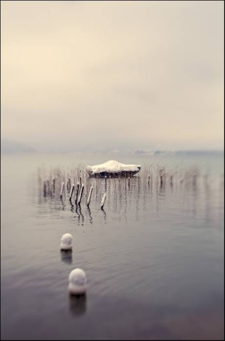 Jardin D'Hiver, photography by Christelle Landais. Canon 5D - Lensbaby. In Nature, Scenery, Waterscape