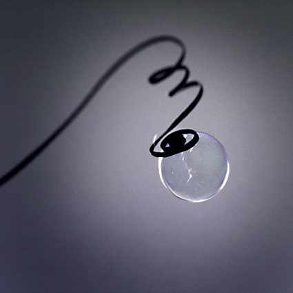 Pop, photography by Anne Friry. In Nature