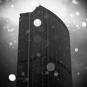 Gris comme neige by C L